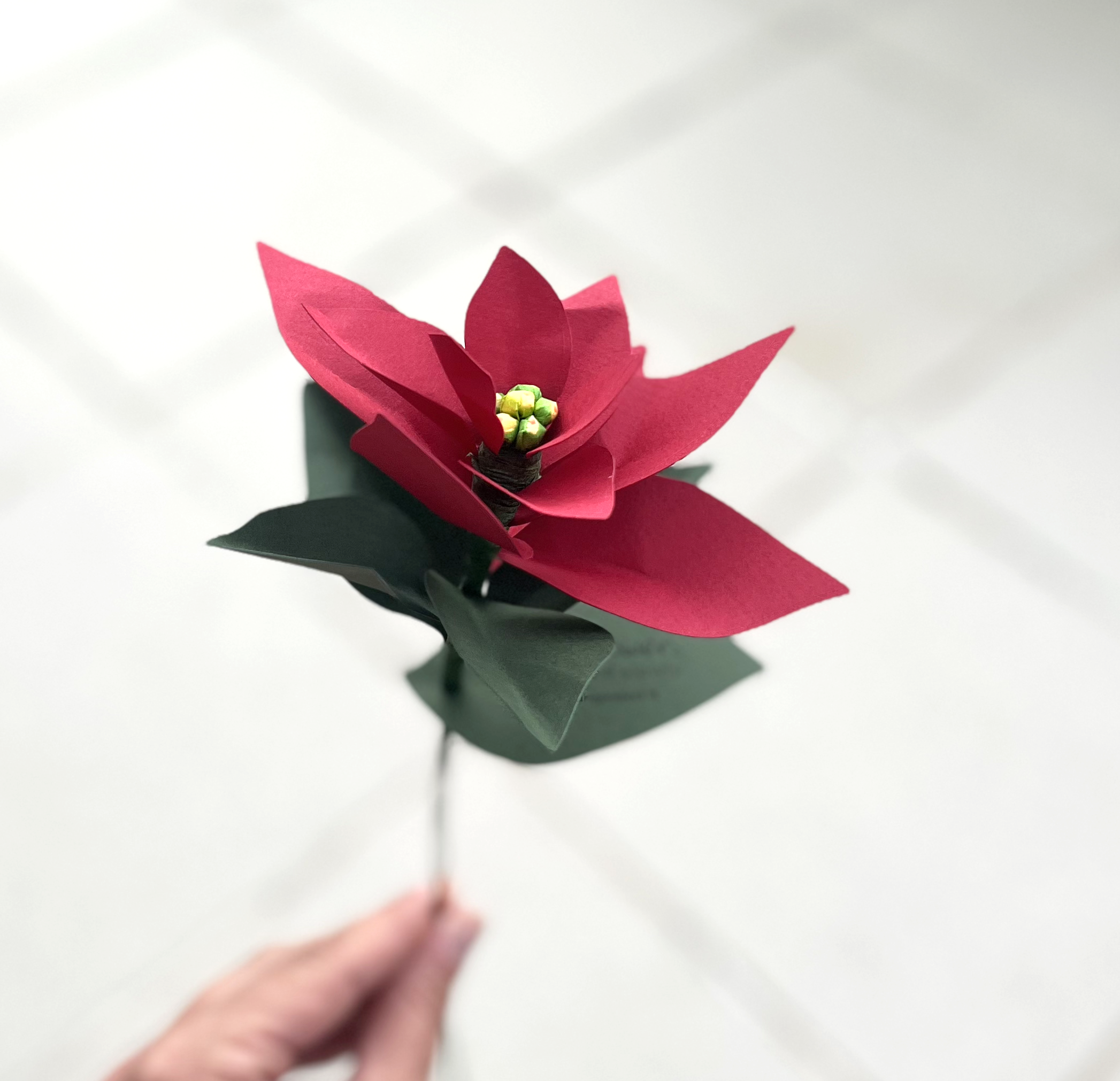 Paper flowers . poinsettia - Image 5
