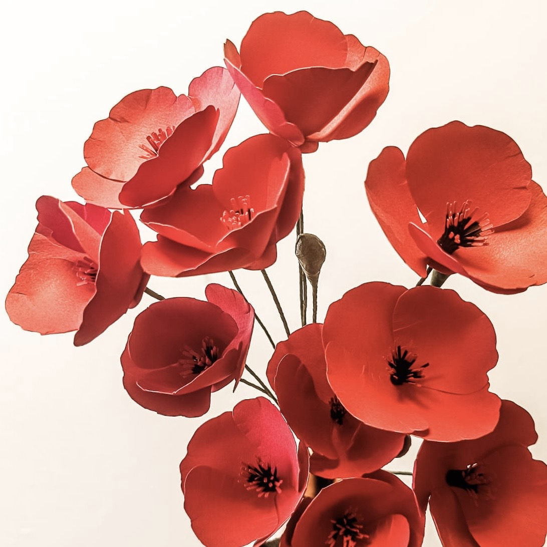 Paper flowers . poppy - Image 4