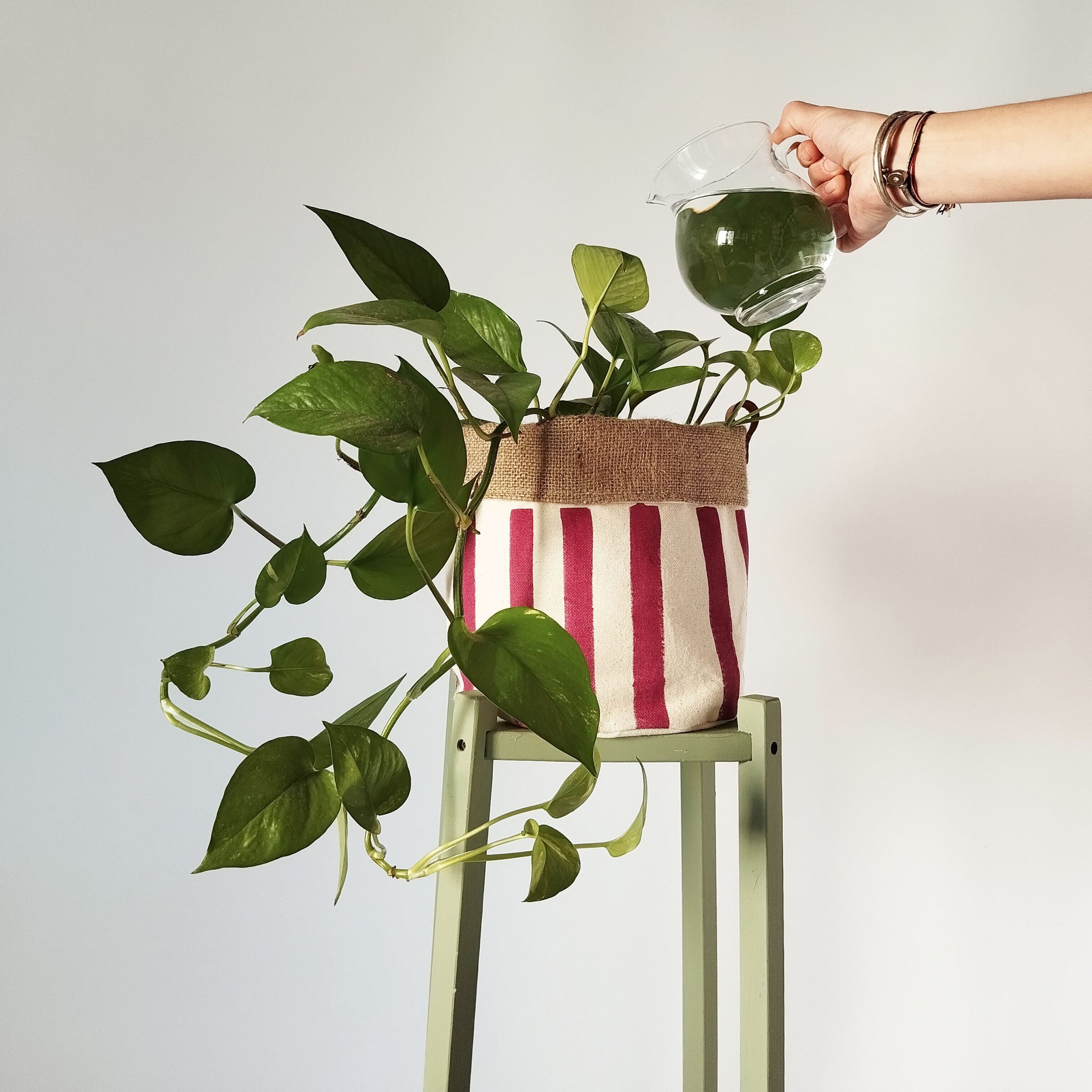 The Ink Job / Fabric plant pots big