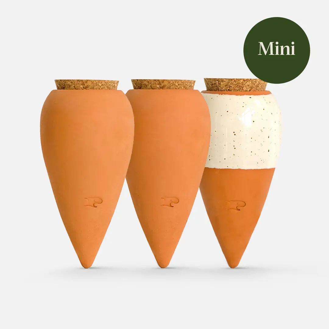 Pepin_ Mini Ollas Trio! - Image 9