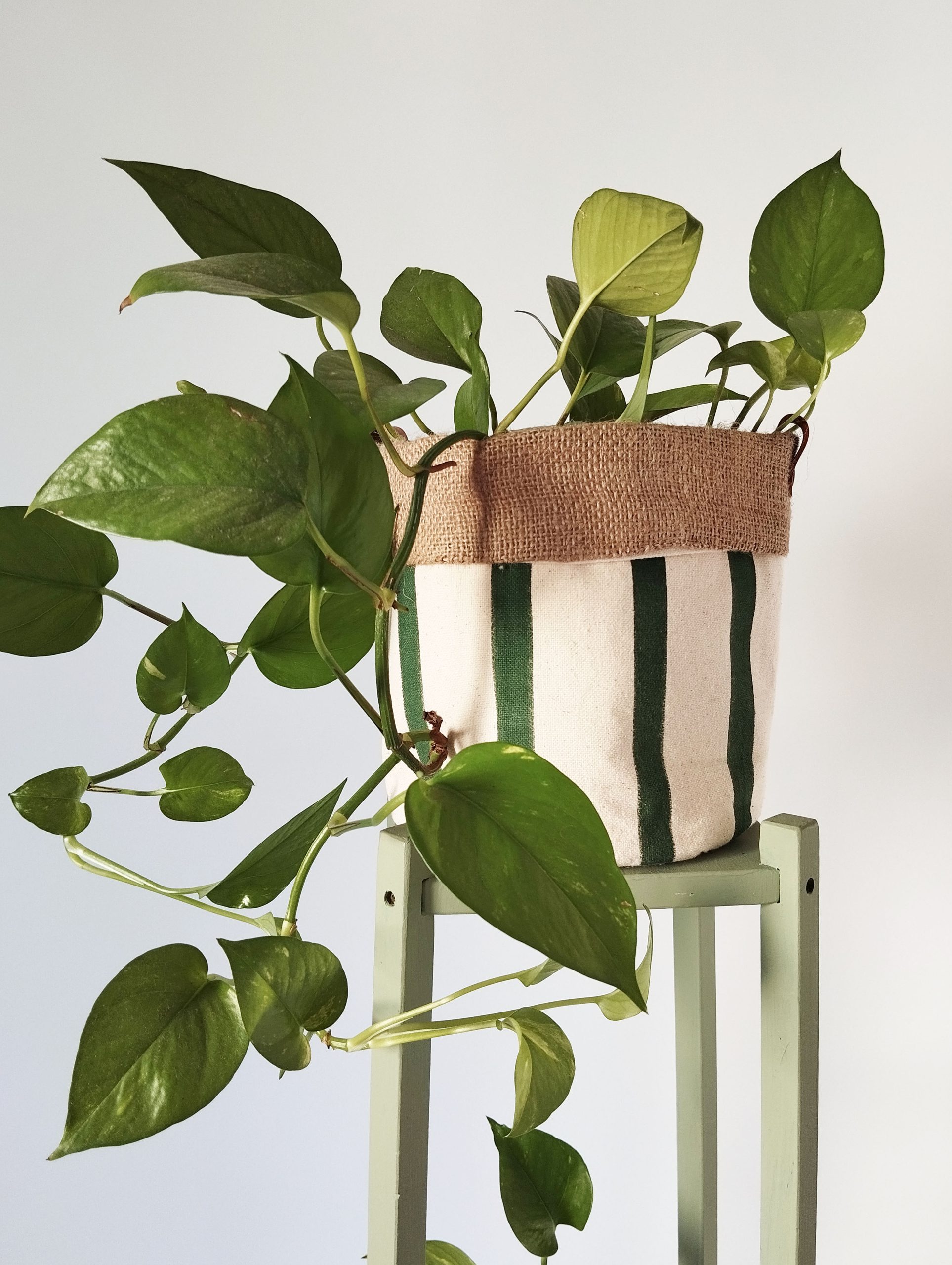 The Ink Job / Fabric plant pots big - Image 3